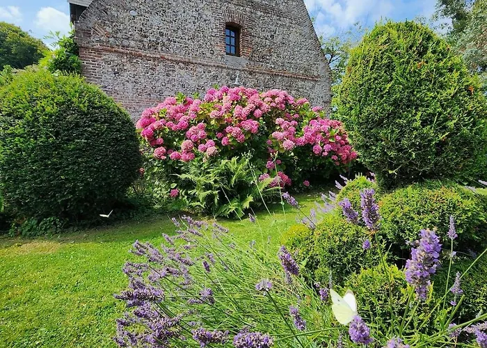 Sejour Charmant - Maison D'Epoque Avec Jardin - Cote D'Albatre 3*